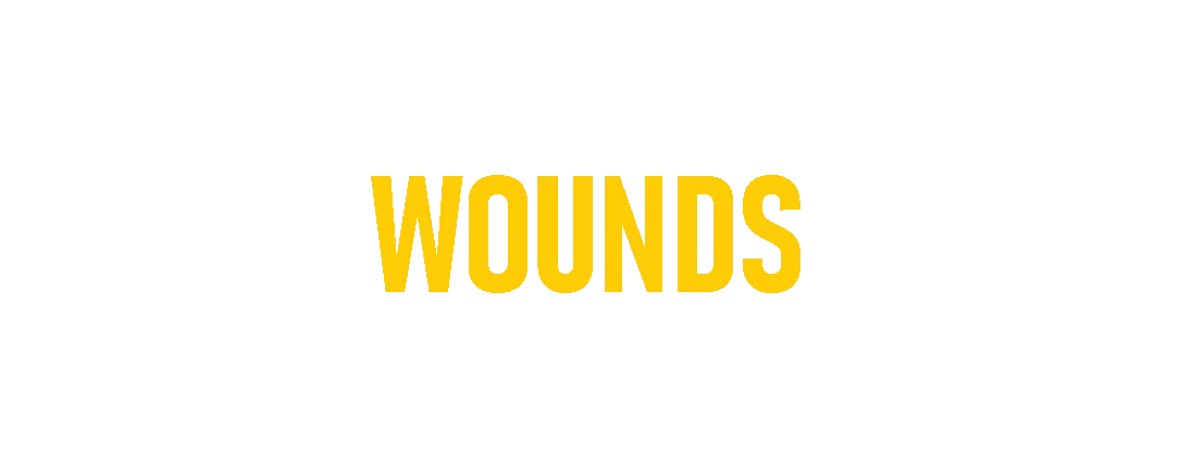 Hidden Wounds Support Foundation